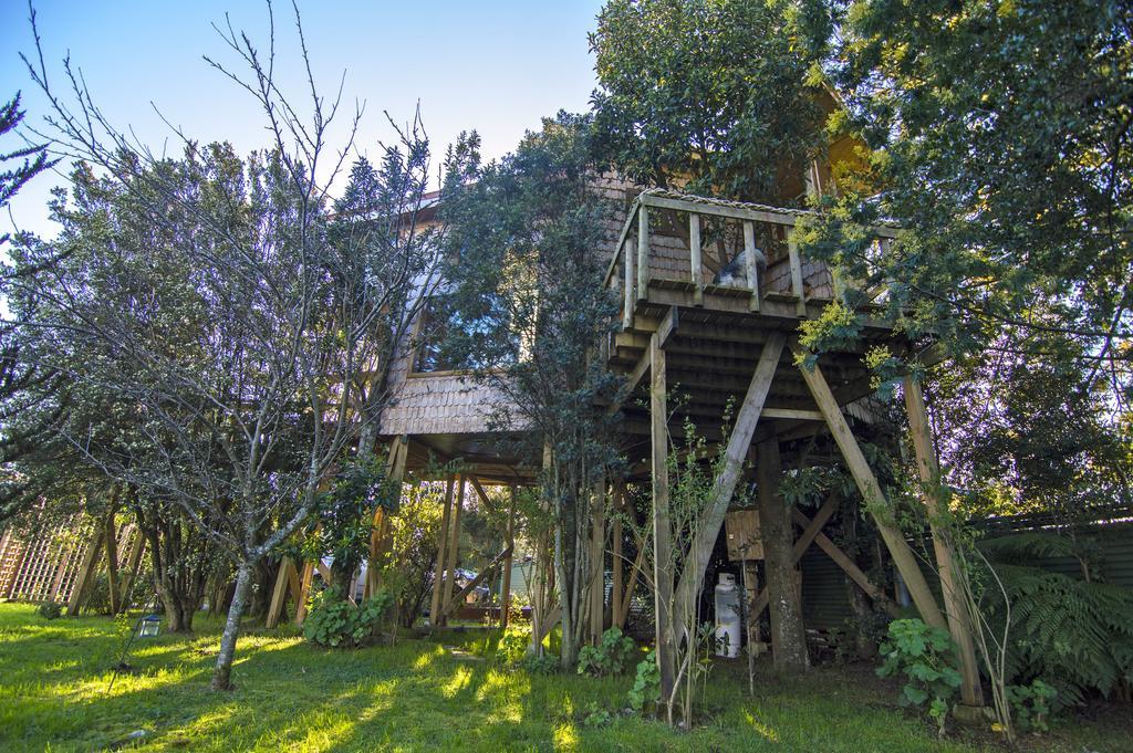 Villa La Casa Del Arbol De Chiloe Castro Exterior foto